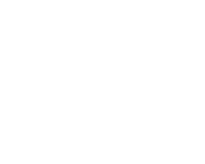 Google Flow logo